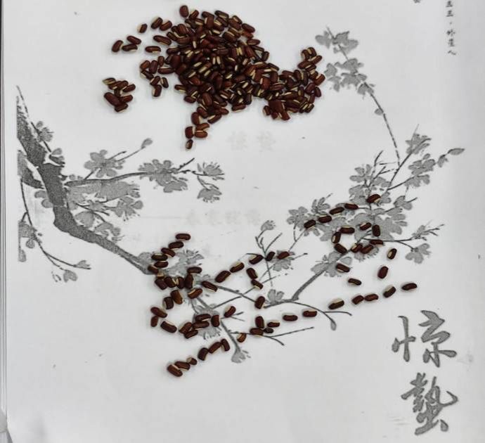 dfa5f5bec2d95ef1b582d530ab349028